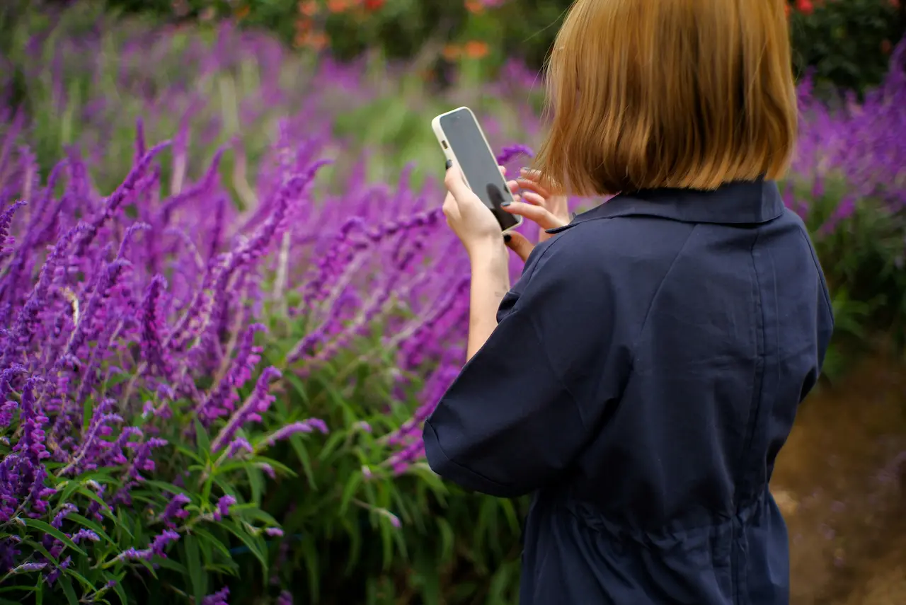Person standing in field of purple flowers looking at phone with peaceful expression